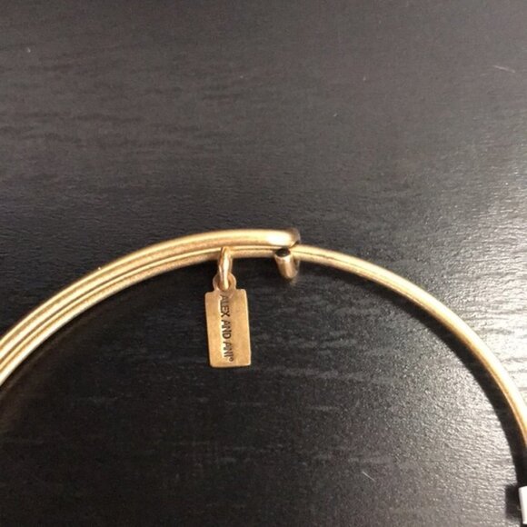 Alex And Ani Snowflake Adjustable Wire Bangle - Picture 2 of 7